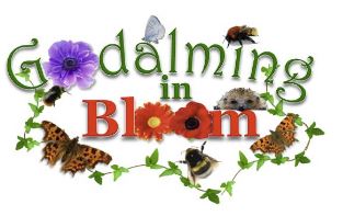 Godalming in Bloom